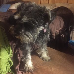 Meet your Posher, Ashley